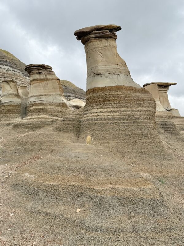 PlanetSKI Heads to Dinosaur Country
